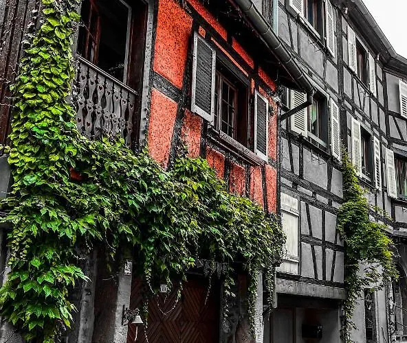La Maison Rouge Au Coeur De La Ville.
