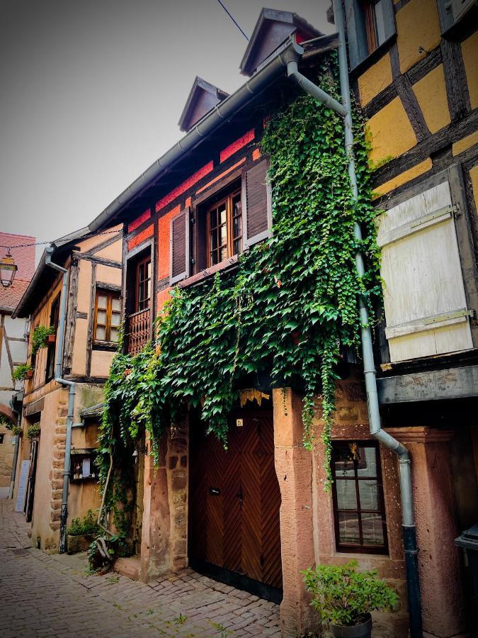La Maison Rouge Au Coeur De La Ville. *